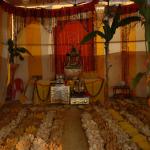 Vraj-Yatra-2014- (2889)